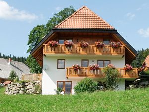 content-ferienhaus-bauernhof-pferd-esel-salenhof-titisee-neustadt-schwarzwald-600×450
